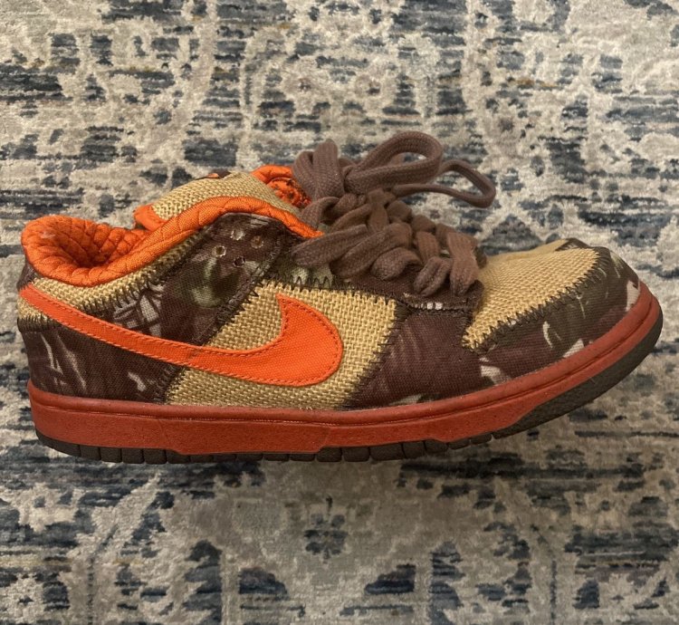 Nike Dunk Sb Hunter