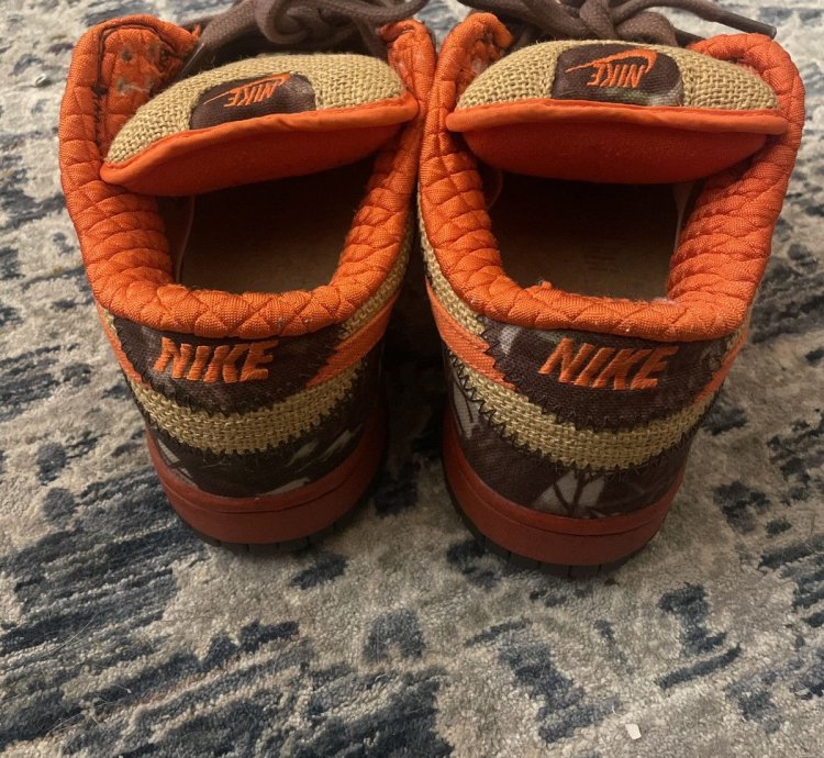 Nike Dunk Sb Hunter