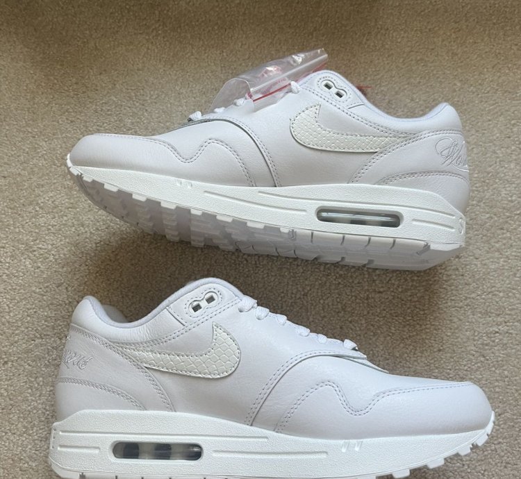 Supreme Nike Air Max 1