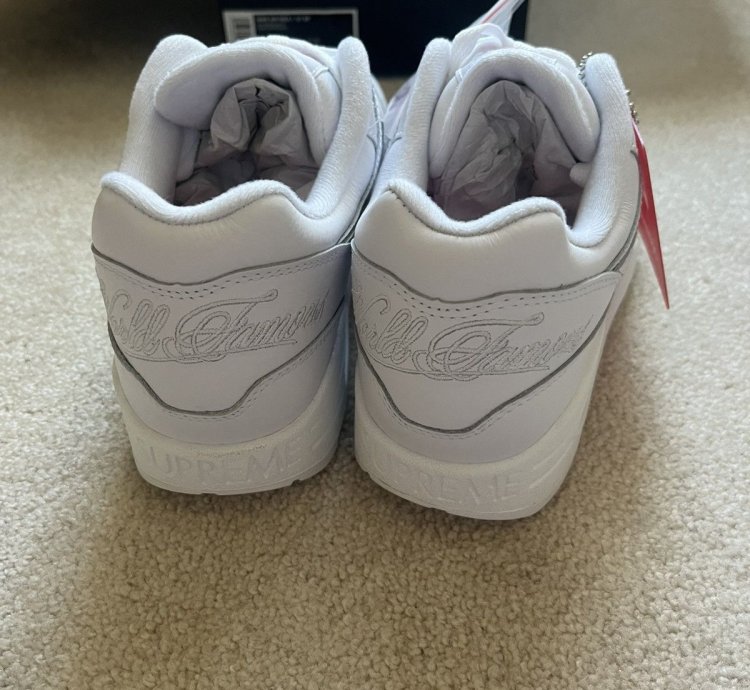 Supreme Nike Air Max 1