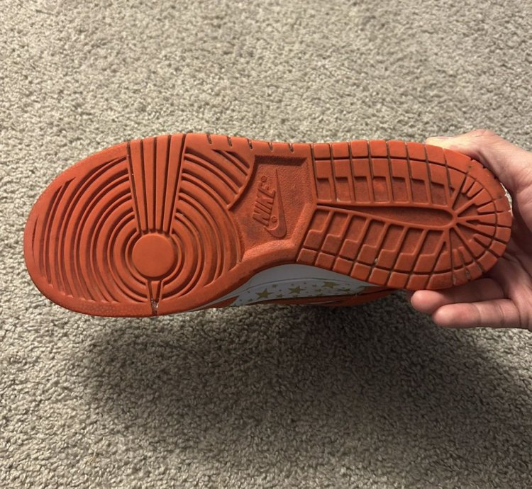 Supreme Nike Dunk High Pro Sb Orange Size 9 5