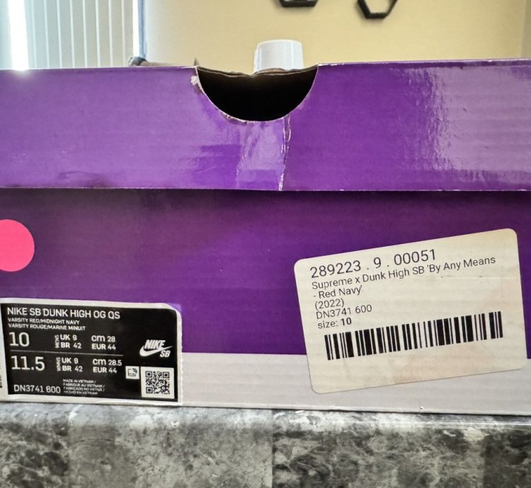 Supreme Nike Dunk High Sb By Any Means