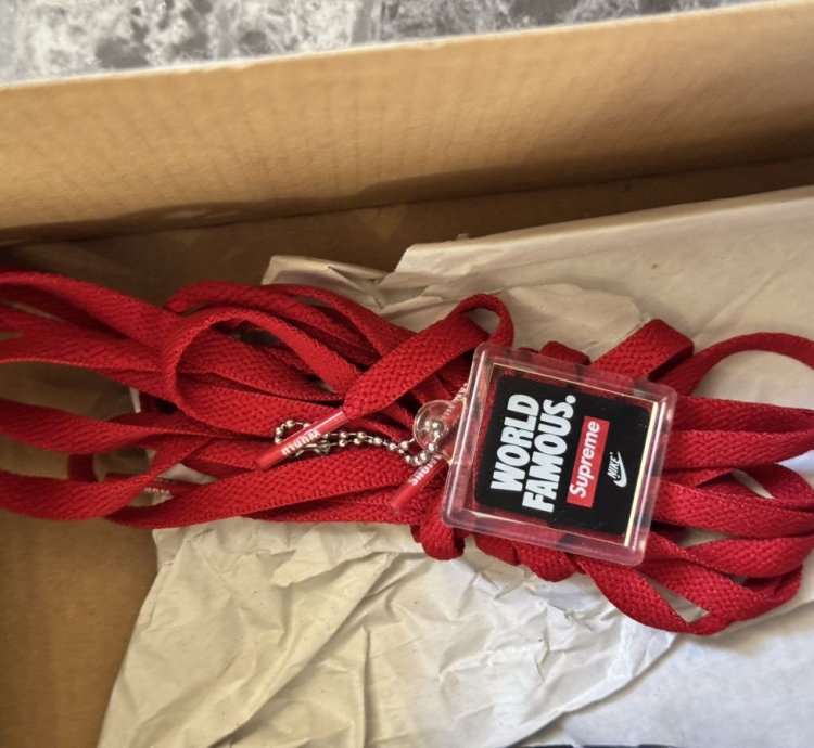 Supreme Nike Dunk High Sb By Any Means