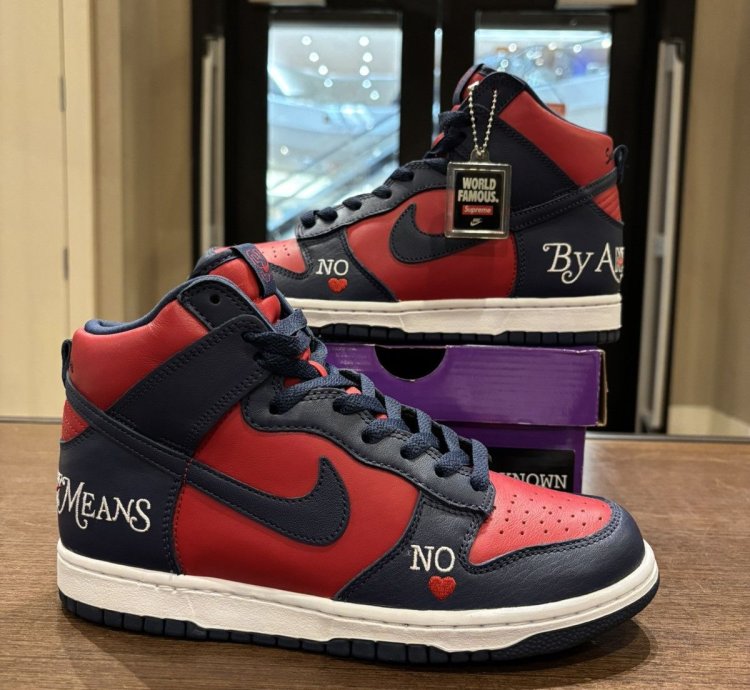 Supreme Nike Dunk Sb High By Any Means Blue