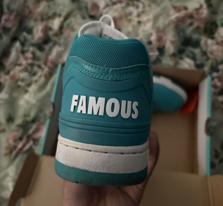 Supreme Nike Sb Af2 Low Teal