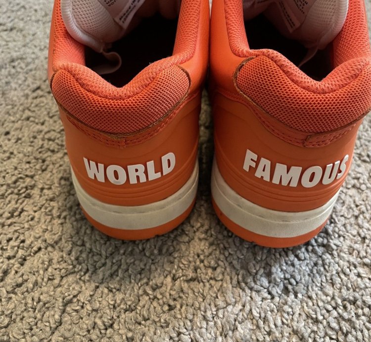 Supreme Nike Sb Air Force 2 Low Us 8