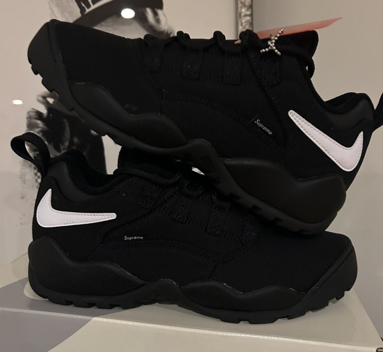 Supreme Nike Sb Darwin Low Black Size 6
