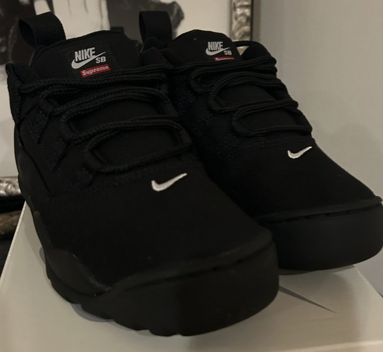 Supreme Nike Sb Darwin Low Black Size 6