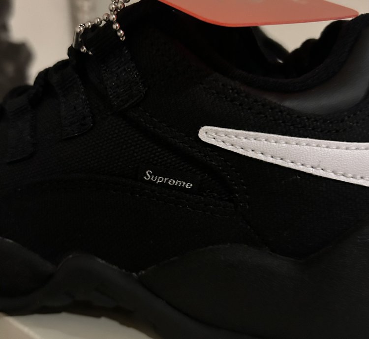 Supreme Nike Sb Darwin Low Black Size 6