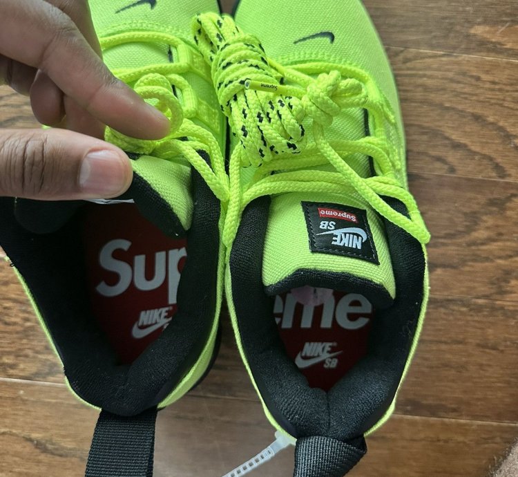 Supreme Nike Sb Darwin Low Volt