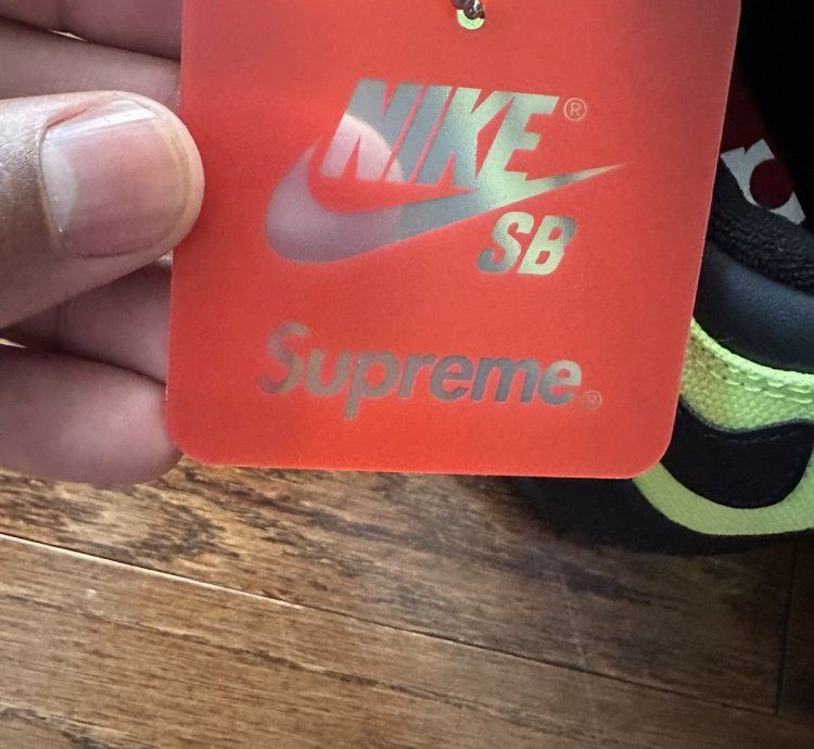 Supreme Nike Sb Darwin Low Volt
