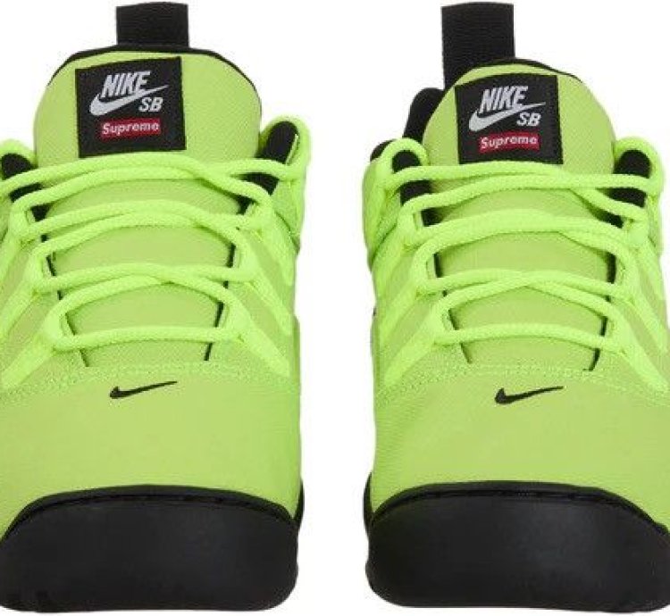 Supreme Nike Sb Darwin Low Volt