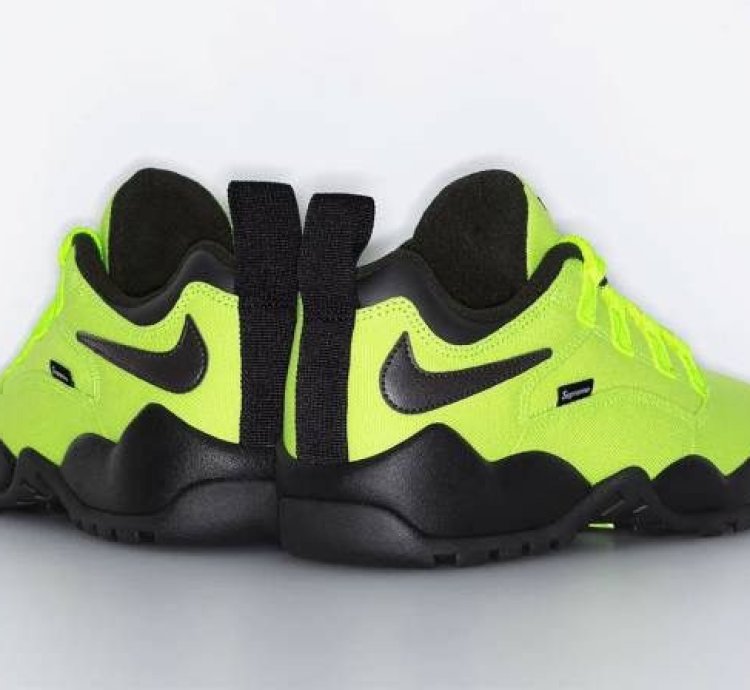 Supreme Nike Sb Darwin Low Volt