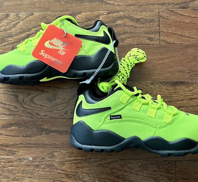 Supreme Nike Sb Darwin Low Volt