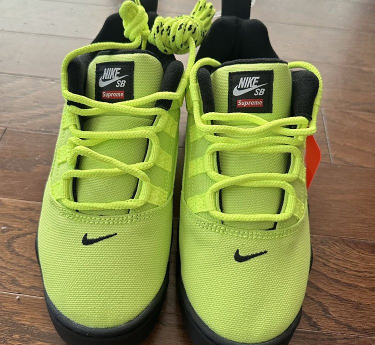 Supreme Nike Sb Darwin Low Volt