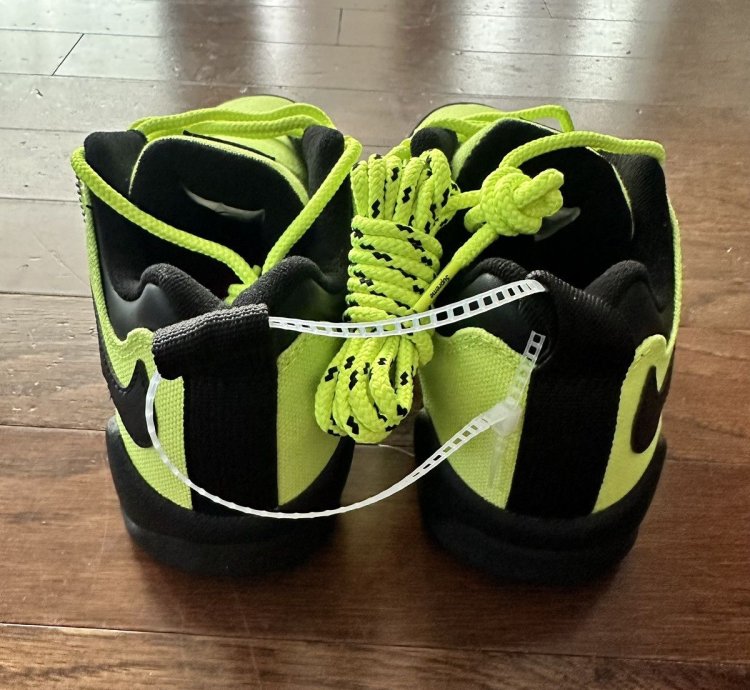 Supreme Nike Sb Darwin Low Volt