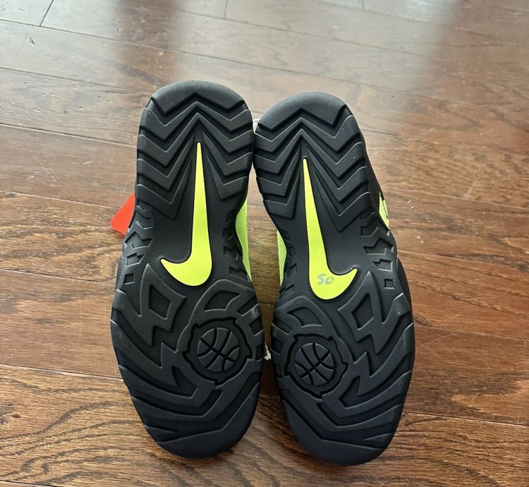 Supreme Nike Sb Darwin Low Volt