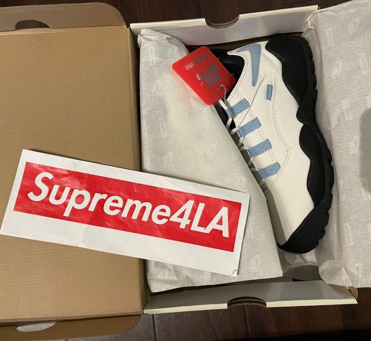 Supreme Nike Sb Darwin Low White Size 8 5 In Hand