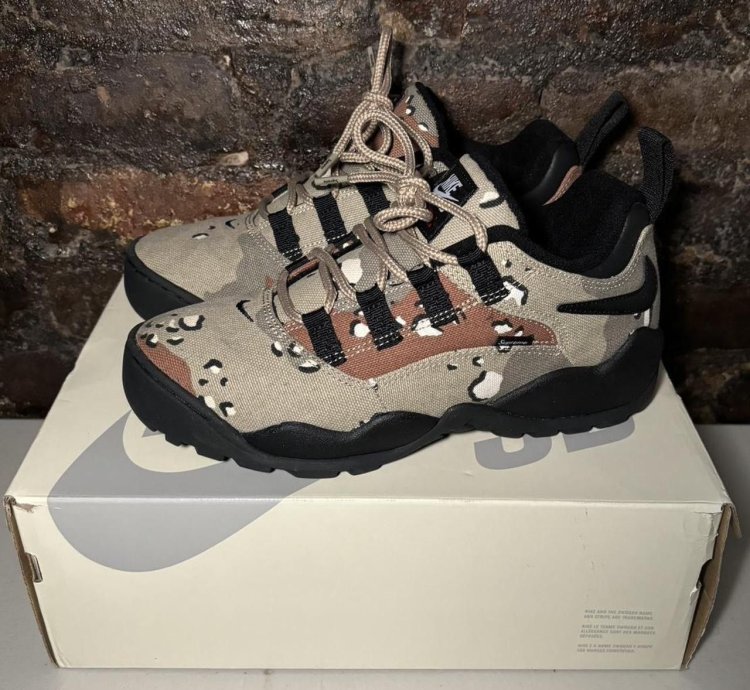 Supreme Nike Sb Desert Camo Air Darwin Shoes
