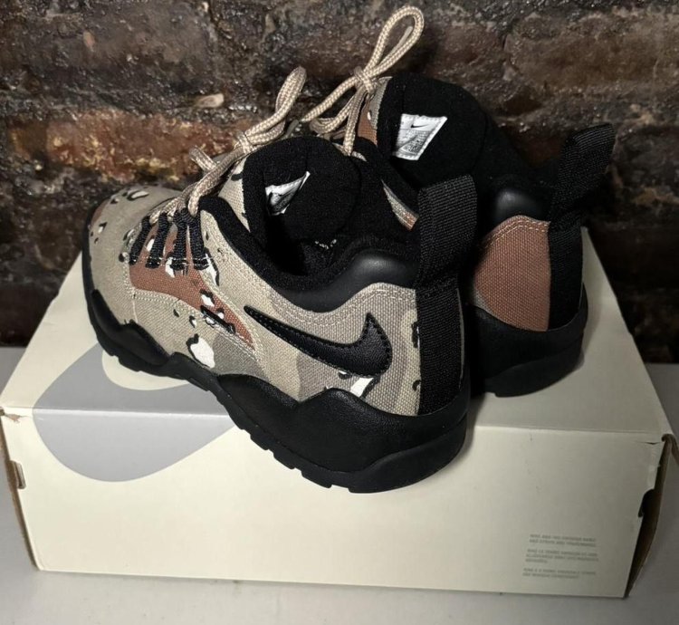Supreme Nike Sb Desert Camo Air Darwin Shoes