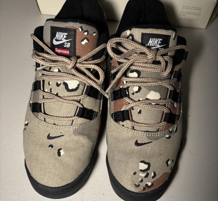 Supreme Nike Sb Desert Camo Air Darwin Shoes