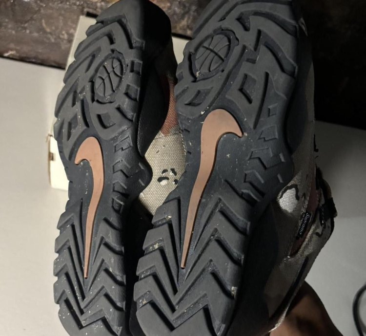 Supreme Nike Sb Desert Camo Air Darwin Shoes