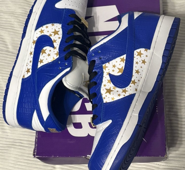 Supreme Nike Sb Dunk