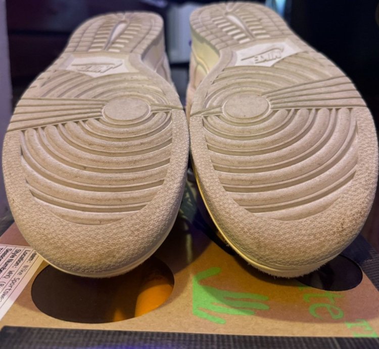 Nike Off-white Dunks Lot 15