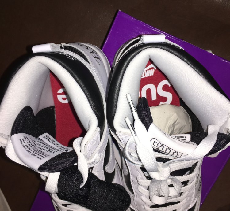 Supreme Nike Sb Dunk High By Any Means