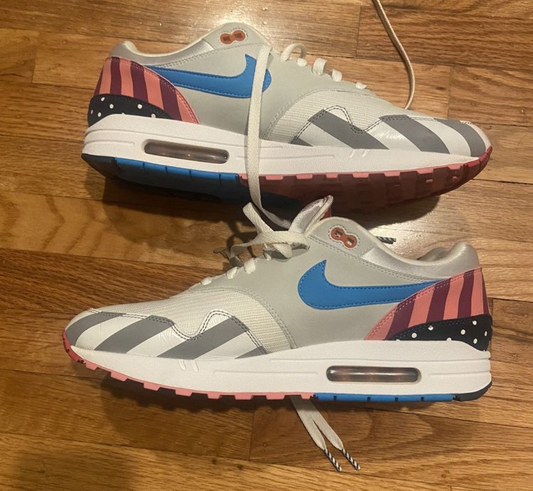 Nike Parra Air Max