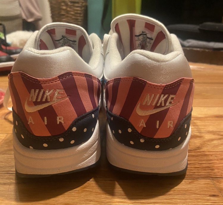 Nike Parra Air Max