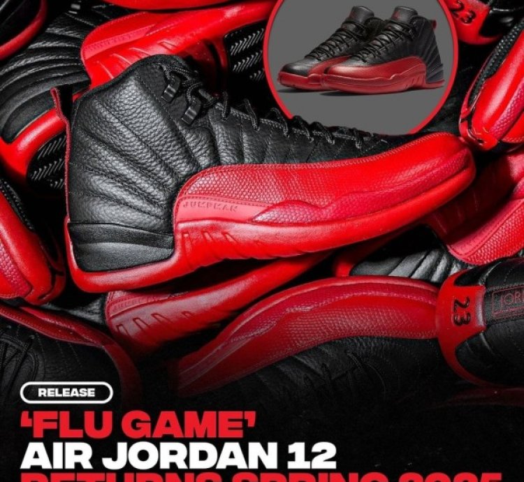 Nik E Air Jordan 12 Flu Game Basketball Sneakers