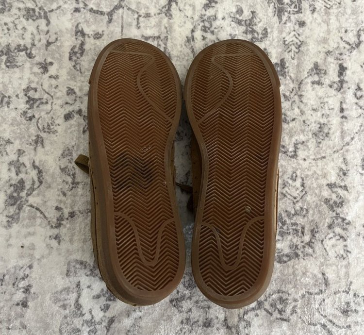 Supreme Nike Sb Ftw Blazer Low Gt Golden Beige 10
