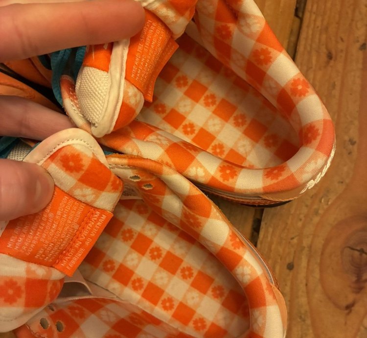 Nike Sb Concepts Orange Lobster