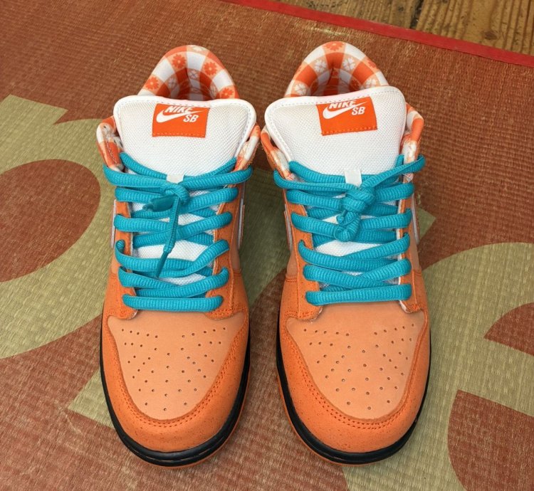 Nike Sb Concepts Orange Lobster