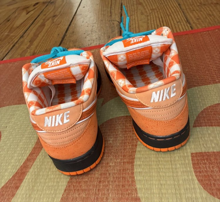 Nike Sb Concepts Orange Lobster