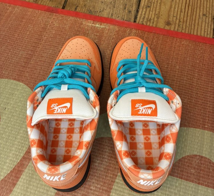 Nike Sb Concepts Orange Lobster
