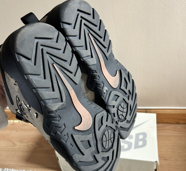 Nike Sb Darwin Low Supreme