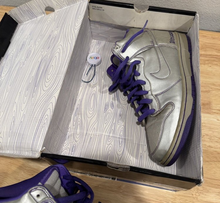 Nike Sb Dunk High Dinosaur Jr