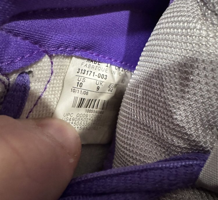 Nike Sb Dunk High Dinosaur Jr