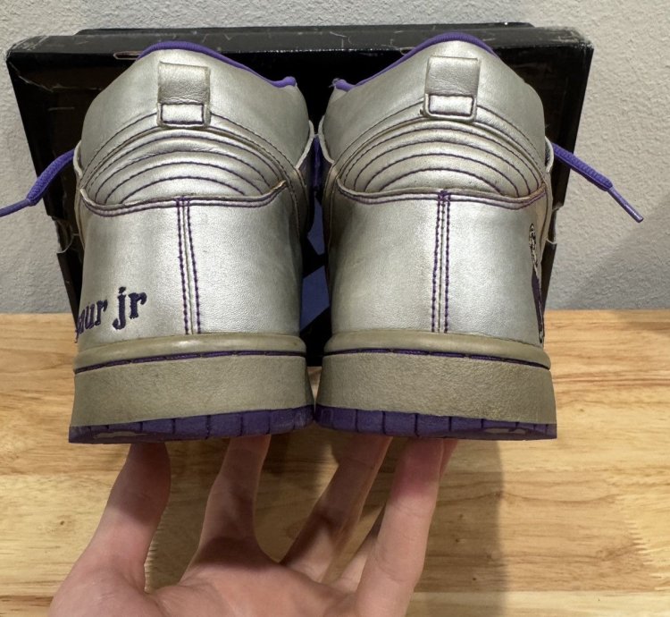 Nike Sb Dunk High Dinosaur Jr