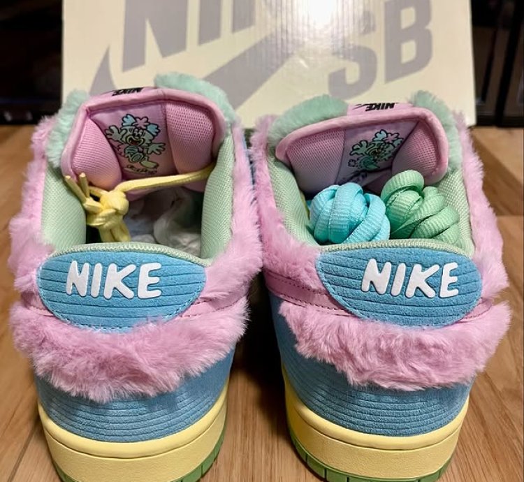Nike Dunk Low Sb visty