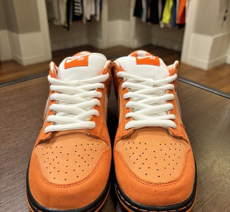 Nike Sb Dunk Low Concepts Orange Lobster