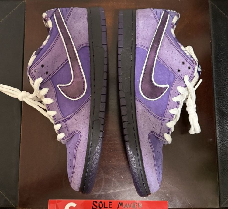 Nike Sb Dunk Low Concepts Purple Lobster