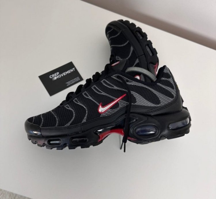 Nik E Air Max Plus Black Silver Running Shoes