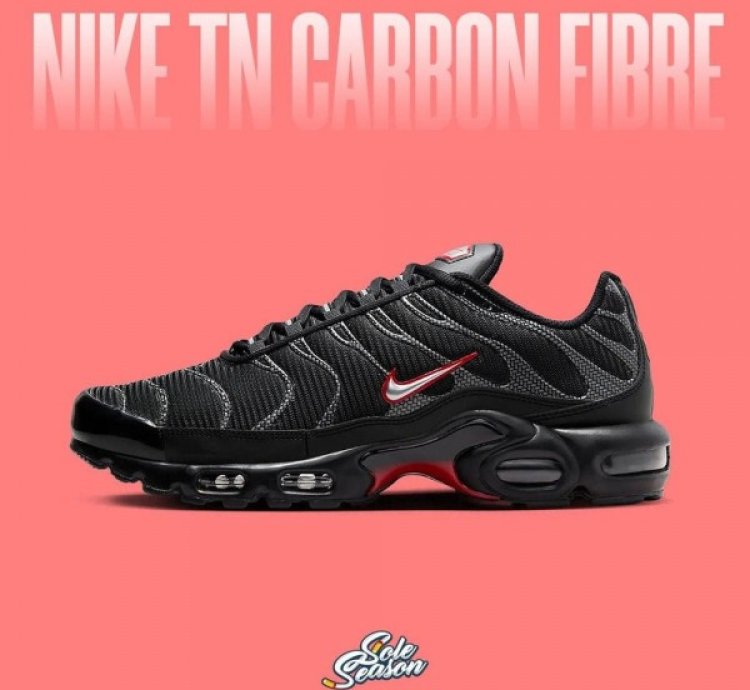 Nik E Air Max Plus Black Silver Running Shoes