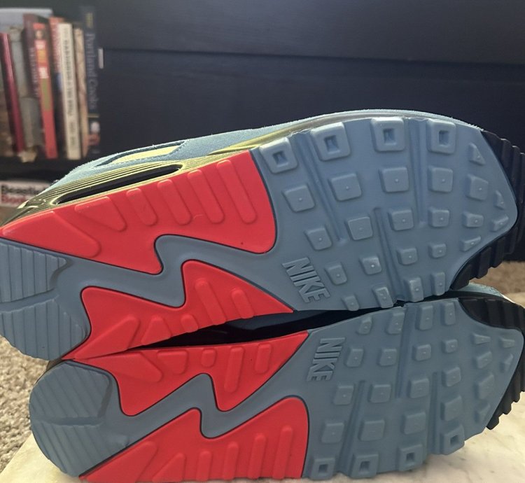 Ted 2025 Air Max 90