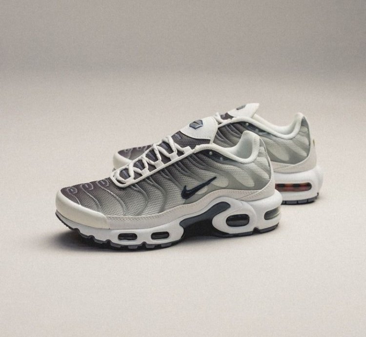Nik E Air Max Tn Sail Grey Running Shoes