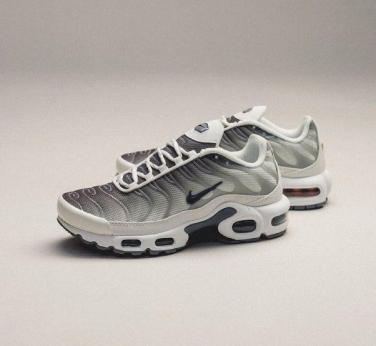 Nik E Air Max Tn Sail Grey Running Shoes