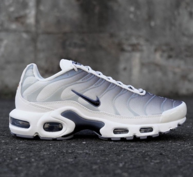Nik E Air Max Tn Sail Grey Running Shoes